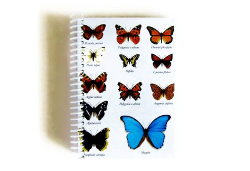 Butterflies Notebook, Writing Journal, Spiral Notebook, 4x6 Inches Notebook, Natural History, Back to School, Spiral Bound Journal, SALE de ciaffi