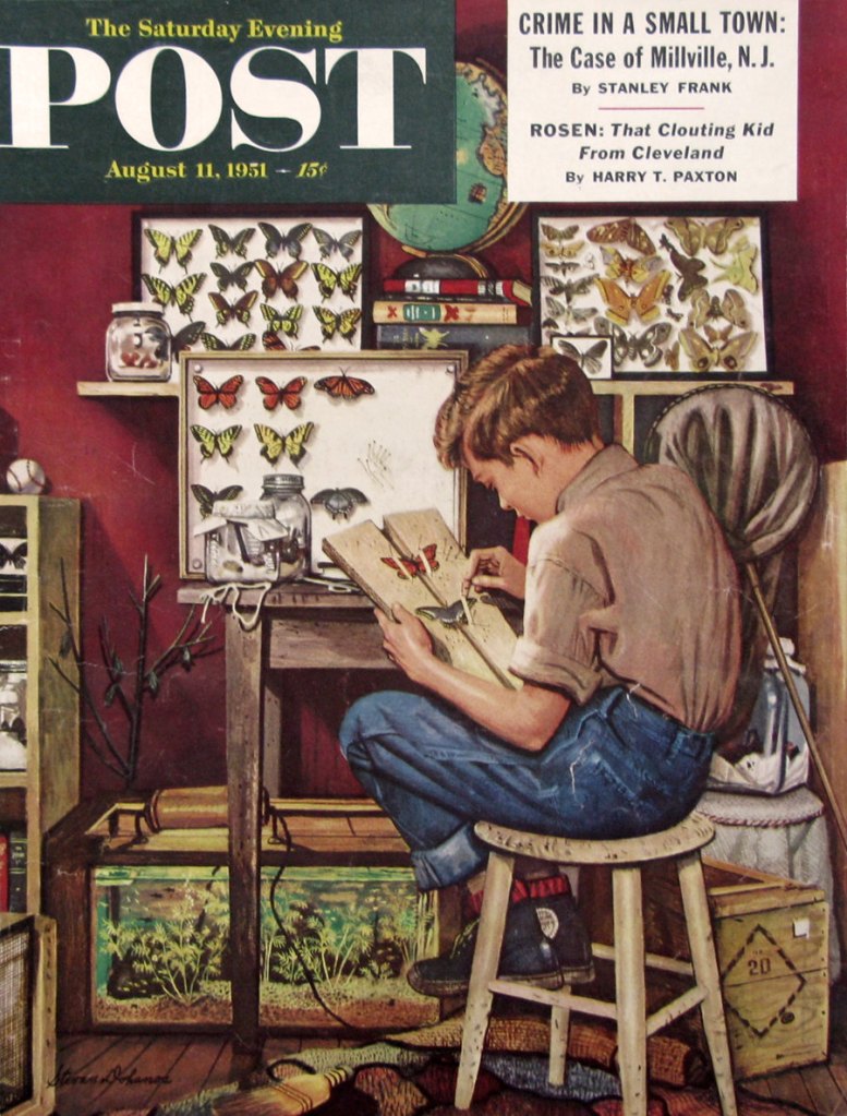 1951 Boy With Butterfly Collection - Lepidopterist - 1950s Saturday Evening Post Magazine Cover - Stevan Dohanos Art de RetroReveries