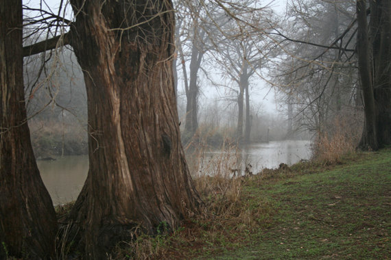 River, Medina River, Bandera, TX de ThePhotoImpression