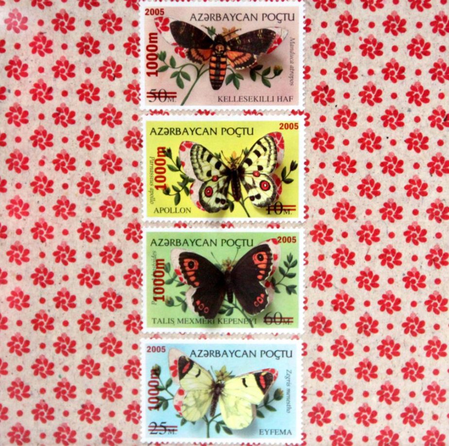 Butterfly illustrated stamps cut by hand in a box frame inspired by entomologists insects collections boxes | Monde minuscule #24 de HalLucilogene