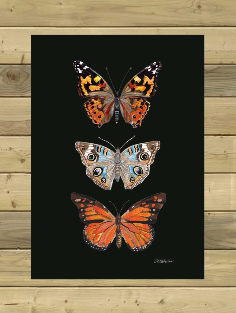 Butterfly Print Painted Lady Print Buckeye Print Monarch Print Dramatic Butterflies Print Original Butterfly Artwork Butterfly Painting de Canvasbutterfly